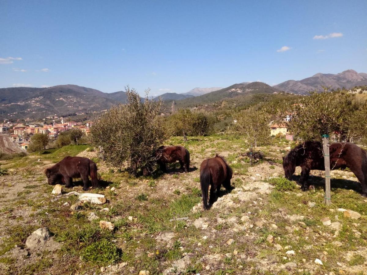 Appartamento Taggiasca A Riva Trigoso Сестри-Леванте Экстерьер фото